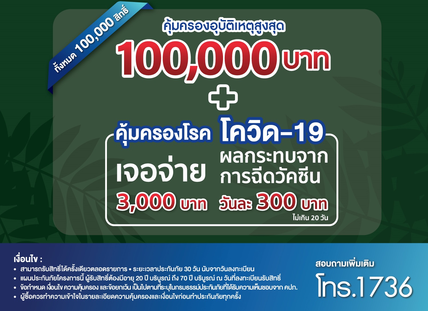 ทิพยประกันภัย ร่วมกับ คาเฟ่ อเมซอน มอบสิทธิ์ประกัน PAและโค ...